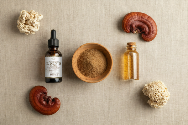 Mushroom extract, mushroom powder or tincture – what's the difference and which should you choose?