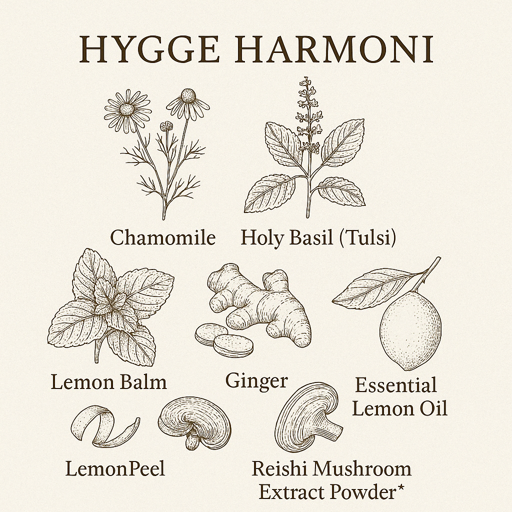 Hygge Harmony - orgaaniline taimetee reishi seentega - 16 teekotti 1,8 g (29 g)