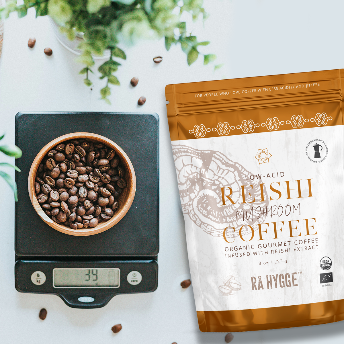 Reishi Specilty Coffee Espresso Grind 227 g
