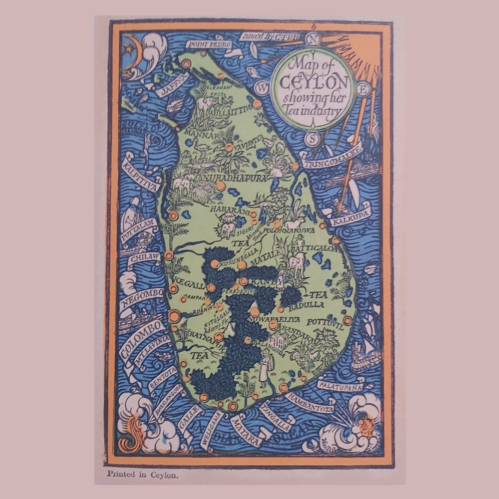 Inspired Spirit - orgaaniline taimetee lõvilakkseentega - 16 teekotti 1,8 g (29 g)