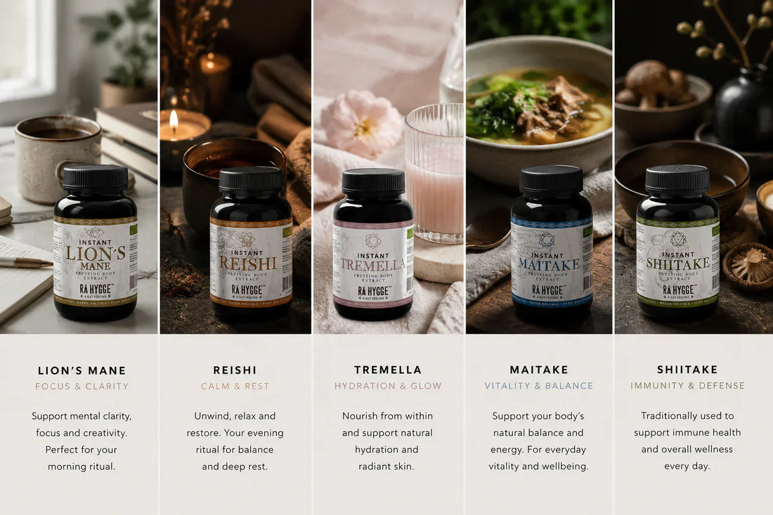 Rå Hygge pulberekstraktid: puhtam, tugevam ja lihtsam seenede rituaal igaks päevaks
