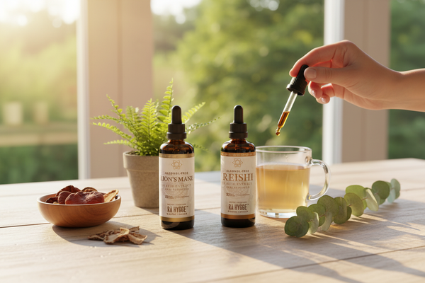 Ra Hygge alcohol-free mushroom extract set 3 x 100 ml