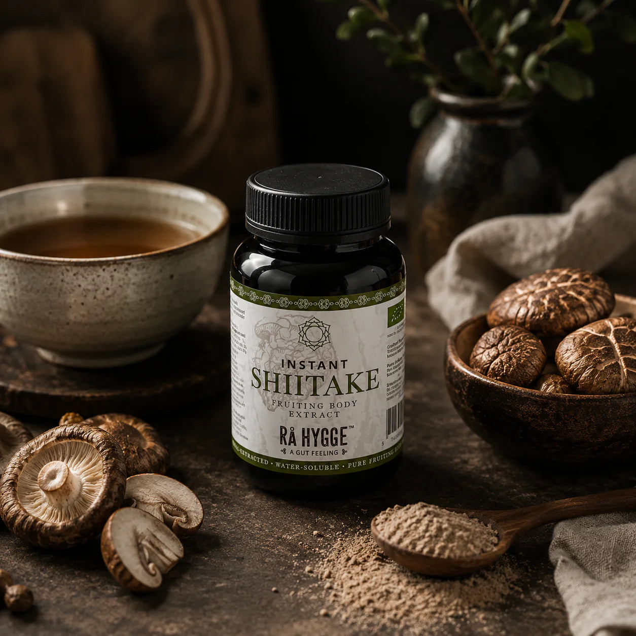 Shiitake pulberekstrakt