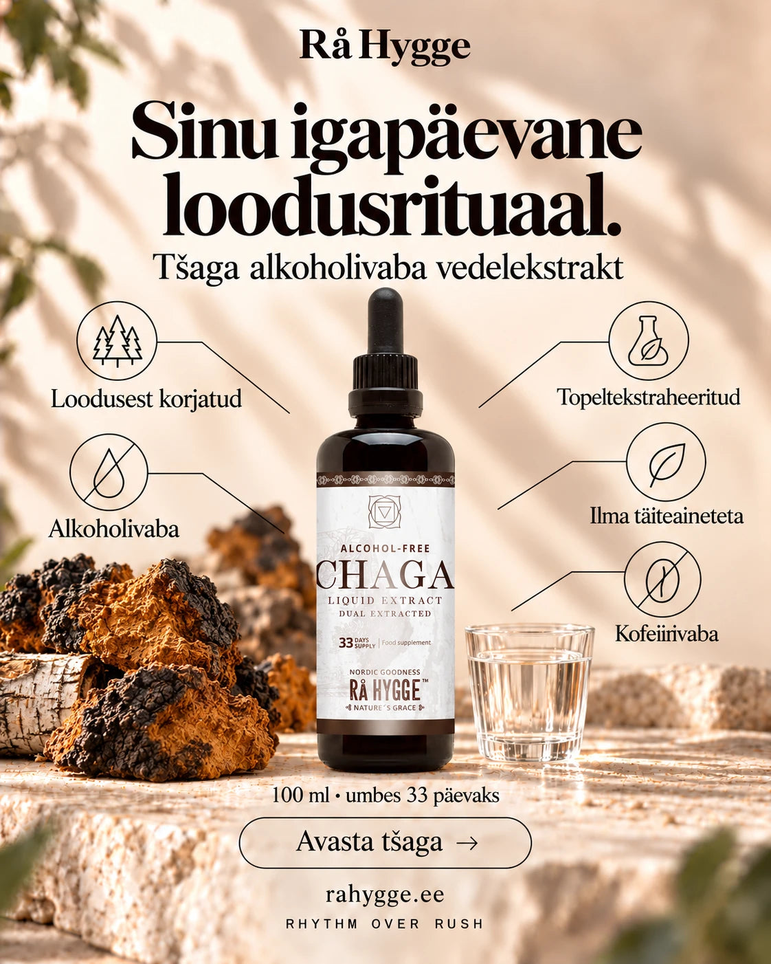 Chaga Liquid Extract 100 ml, Alcohol Free, benefits at a glance, Ra Hygge