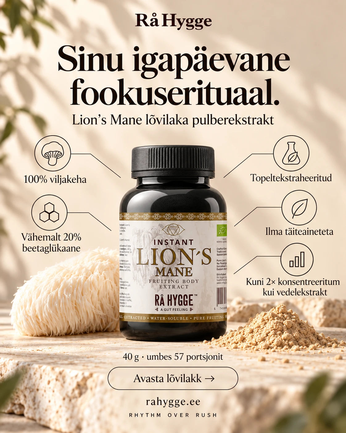 Lion's Mane Powdered Extract 40 g, benefits at a glance, Ra Hygge
