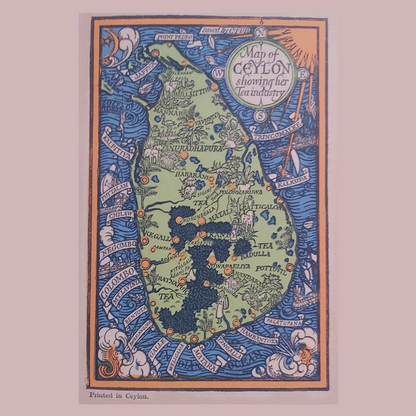 Inspired Spirit - orgaaniline taimetee lõvilakkseentega - 16 teekotti 1,8 g (29 g)