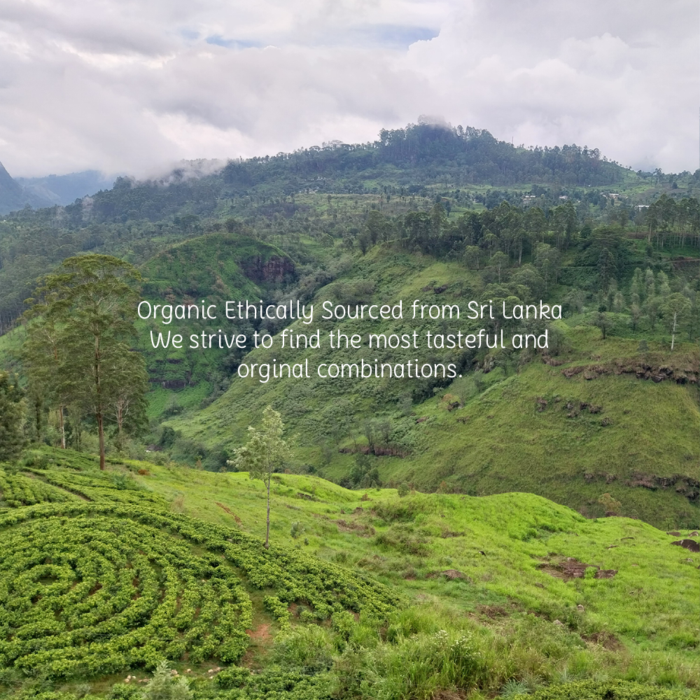 Vürtsita - orgaaniline taimetee ja vürtsid tremella seentega - 16 teekotti 1,8 g (29 g)