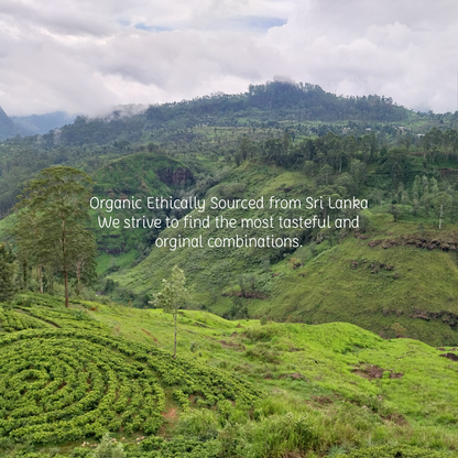 Vürtsita - orgaaniline taimetee ja vürtsid tremella seentega - 16 teekotti 1,8 g (29 g)